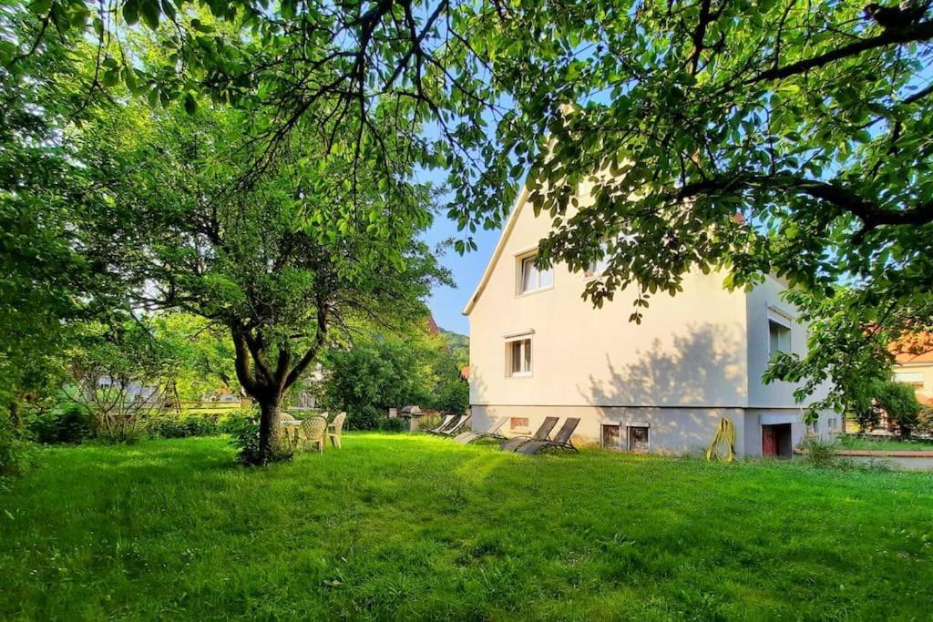 Rooms 4 Persons Kaysersberg Екстер'єр фото